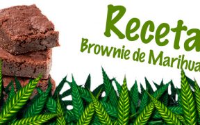 Brownies-Cannabicos