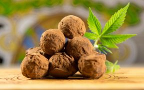 Trufas-de-Marihuana