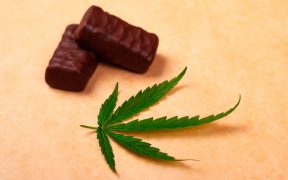 Bombones cannábicos o de marihuana