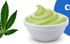 salsa de queso cannábica